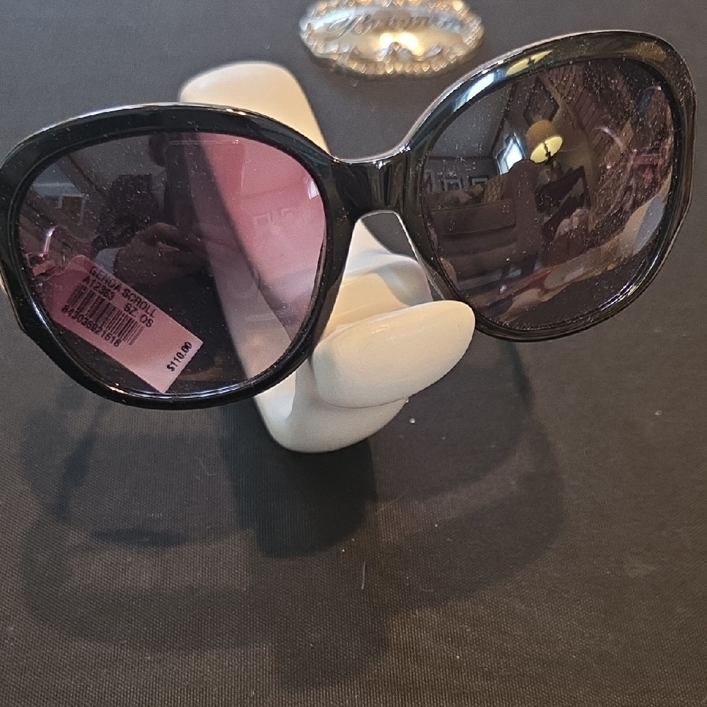 Brighton Glossy Black Sunglasses